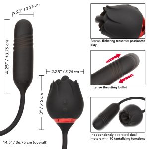 Calexotics French Kiss Elite Romeo Thrusting Bullet Flickering Clitoral Vibrator Black SE 0608 80 3 716770106360 Info Detail