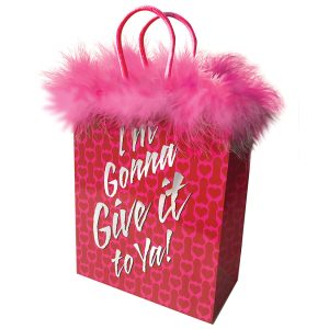 Little Genie Productions Im Gonna Give It To Ya Gift Bag Pink LGP007 685634101967 Detail